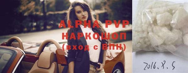 мет Алексин