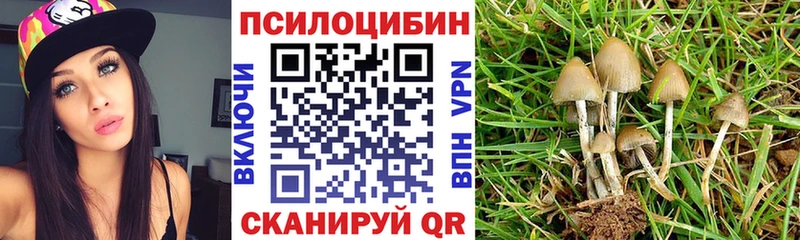 Галлюциногенные грибы Cubensis  хочу наркоту  Одинцово 