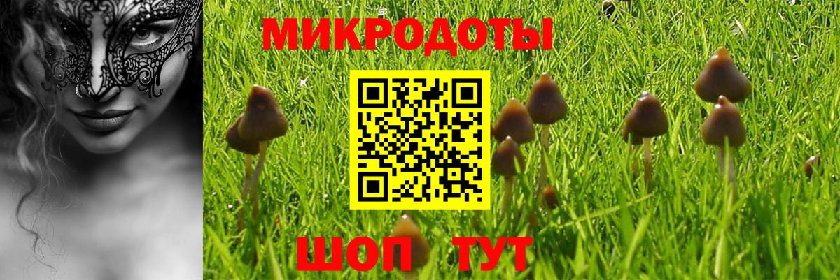 Псилоцибиновые грибы мицелий Одинцово