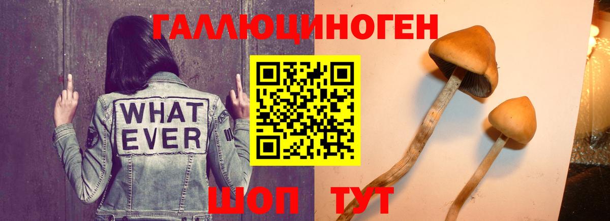 Псилоцибиновые грибы мицелий  Вход с VPN  Галлюциногенные грибы прущие грибы  Одинцово 